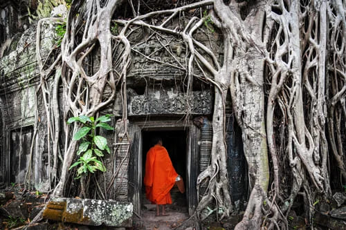 Viaggi e Tour naturalistici e culturali in Cambogia