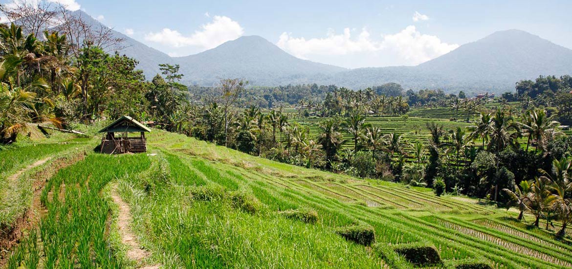 Viaggio a Bali, Nusa Penida e Komodo - Tour Indonesia