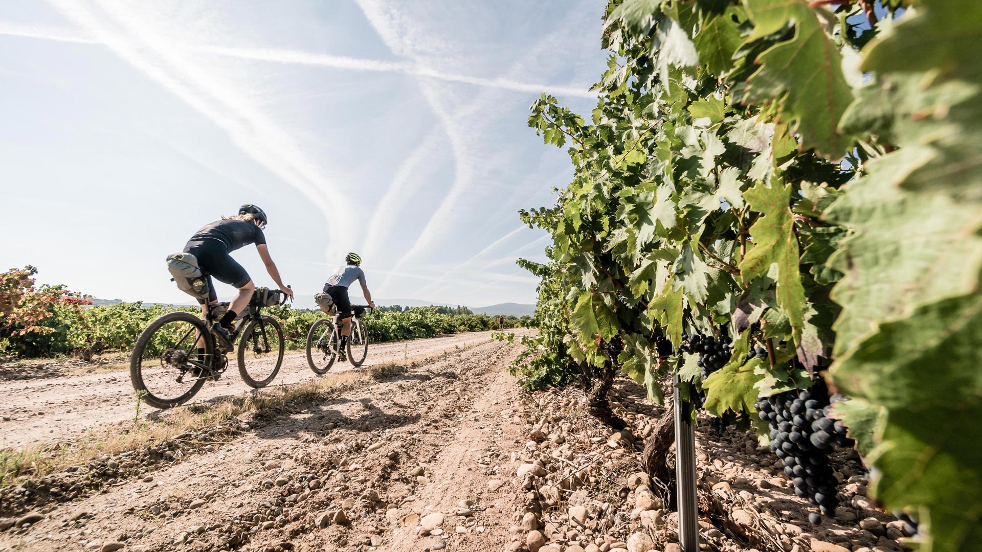 Tour in Bici nelle Langhe, tra vini e castelli