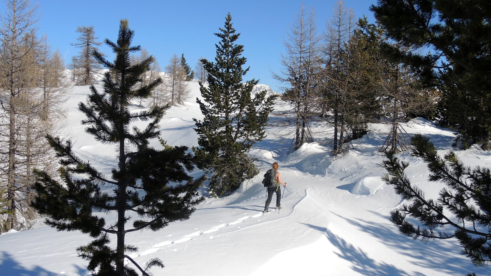 Escursione guidata con racchette da neve (ciaspole)