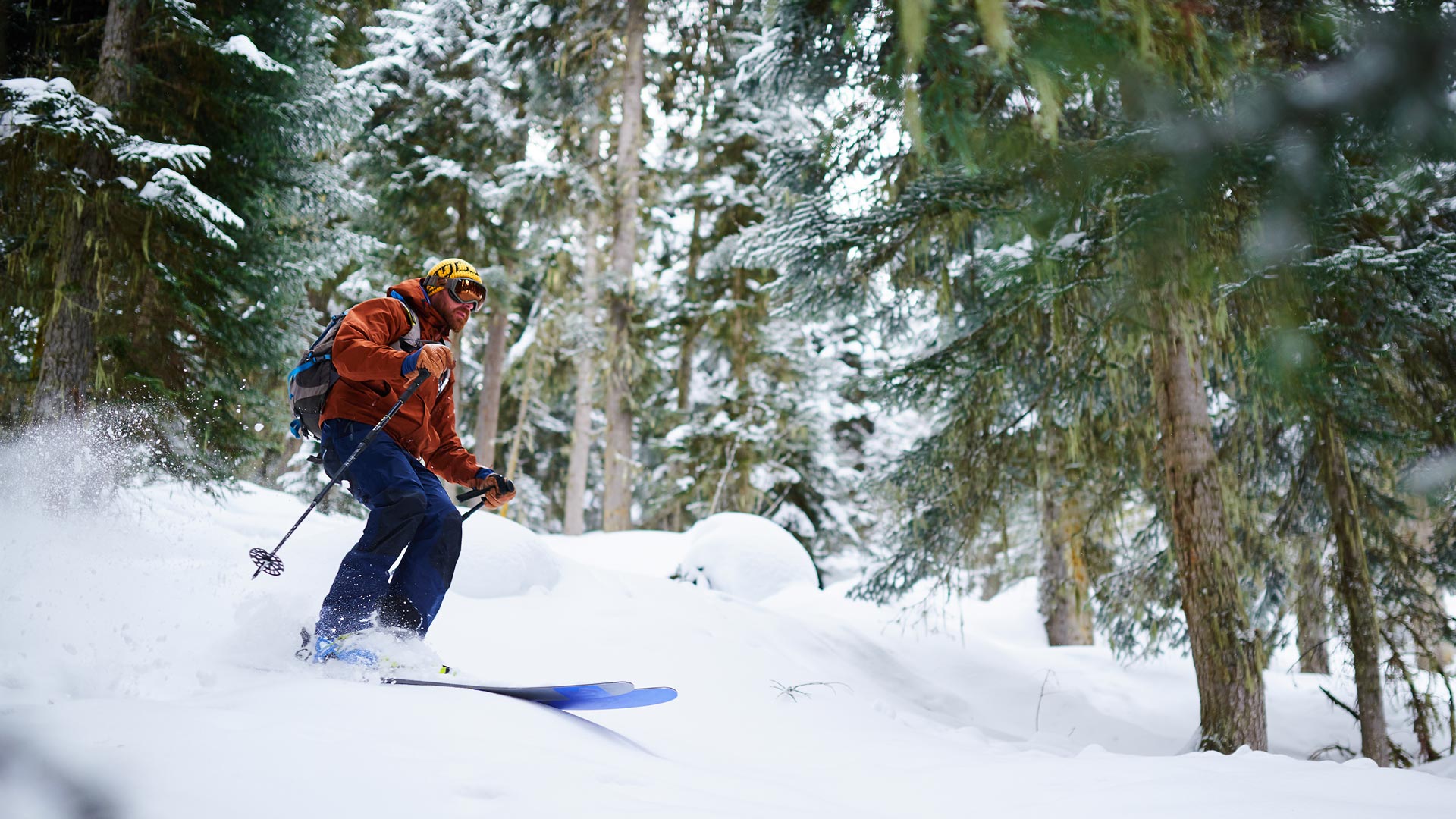 Escursione di sci freeride e snowboard fuoripista con guida