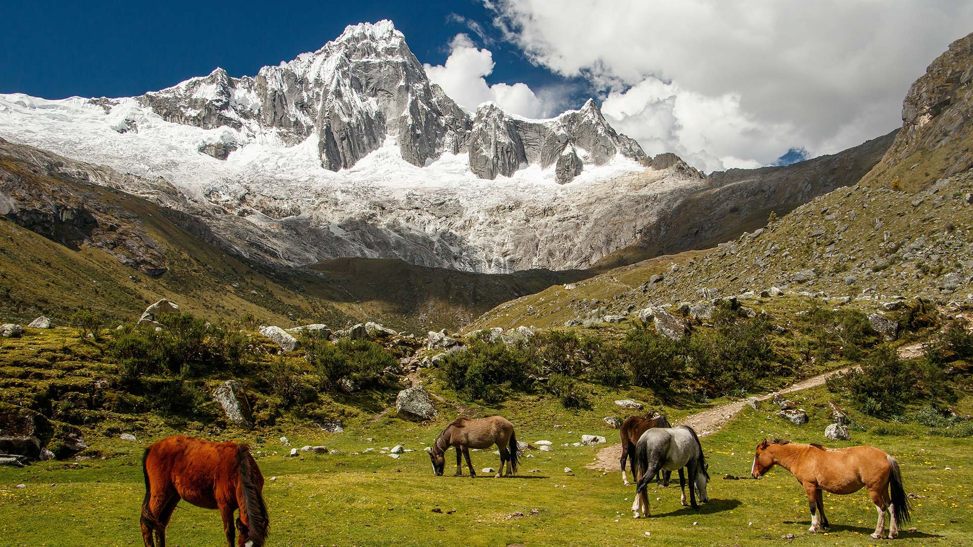 Trekking in Perù: la Cordillera Blanca e la Valle di Santa Cruz