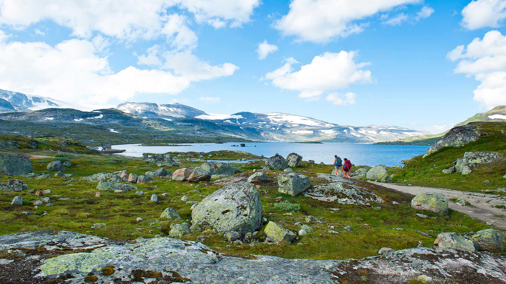 Trekking in Norvegia: Tra ghiacciai e valli incantate 