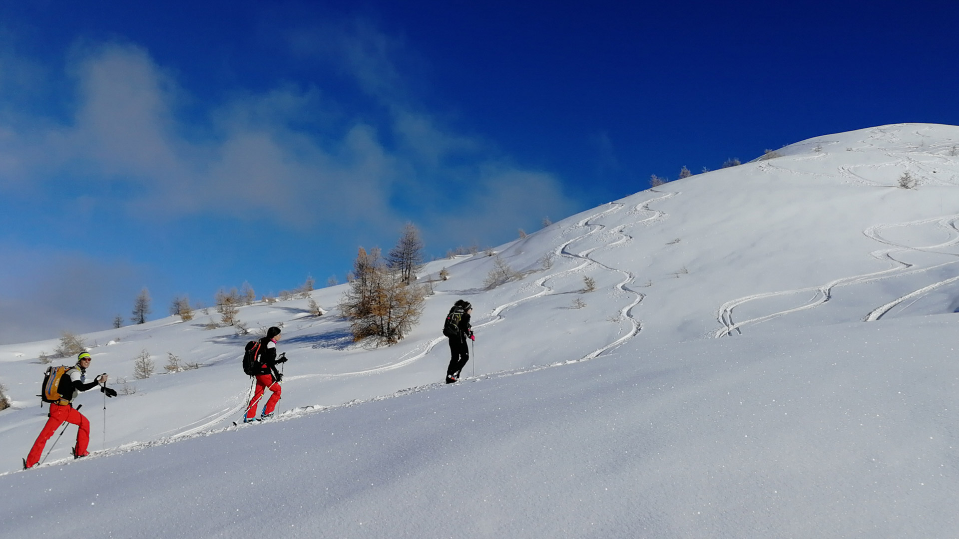 Prima Prova di Scialpinismo - Uscite di gruppo per neofiti
