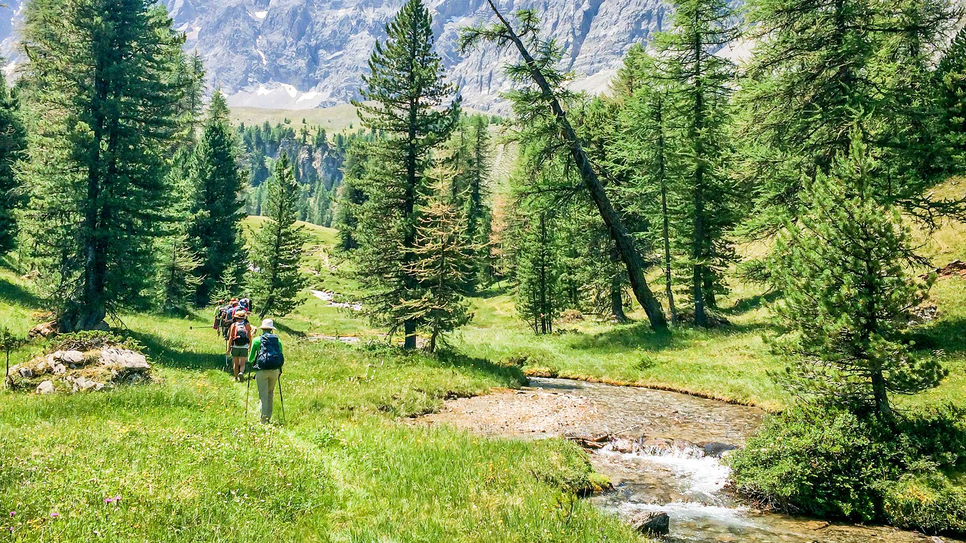 Tour di gruppo: Trekking Haute Route dal Monviso allo Chaberton