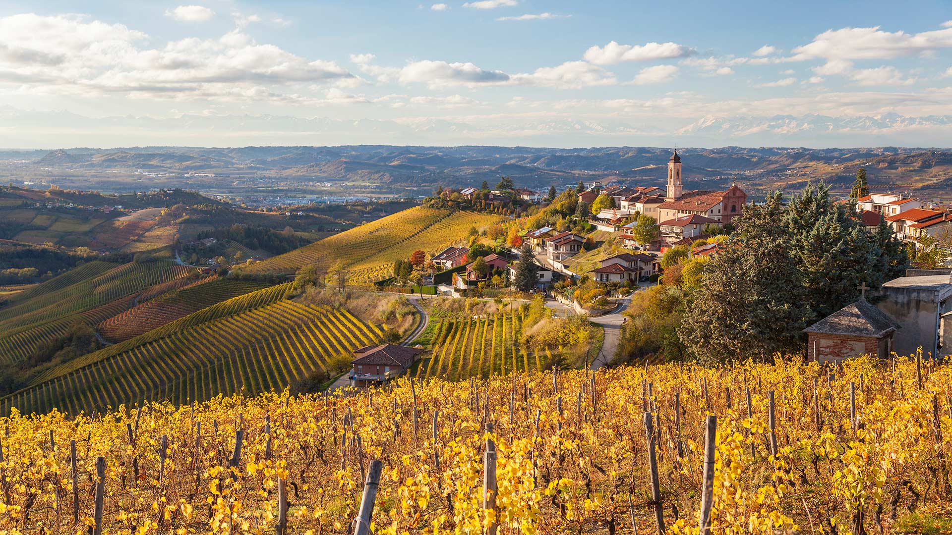 Giornata di trekking nelle Langhe