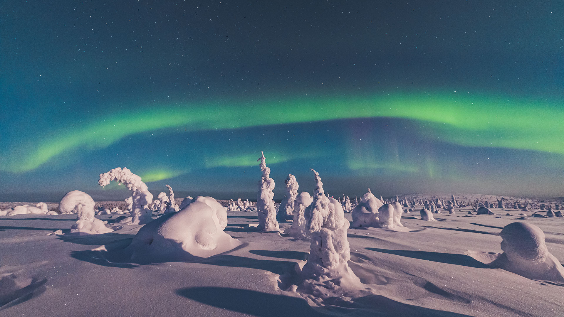 Tour di gruppo in Lapponia: ciaspole, sauna e aurora boreale a Ruka
