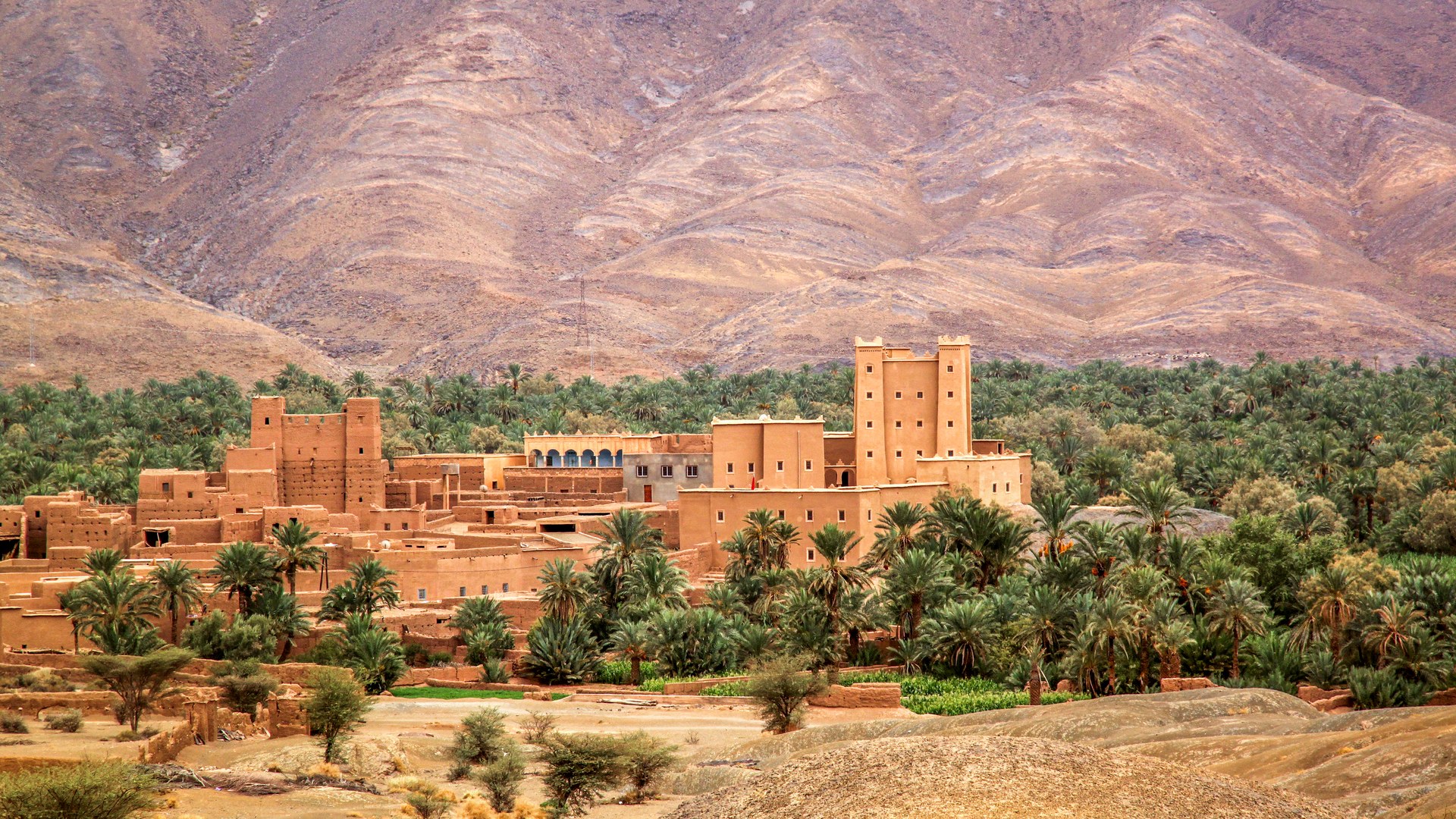 Tour di gruppo con tour leader italiano  in Marocco: tour del Sud con trekking tra kasbah, deserto e Atlante